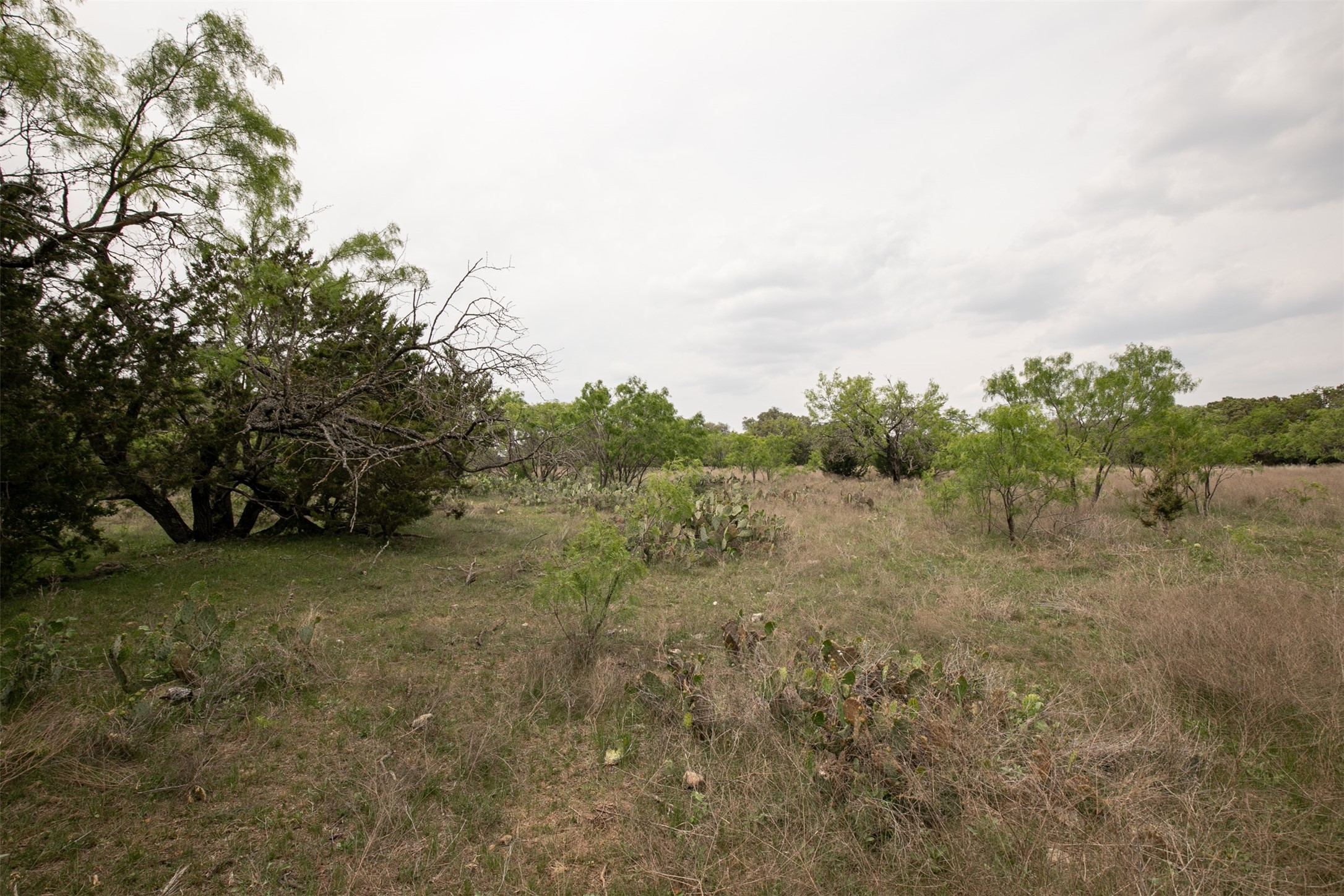 Lot 23 Shin Oak Drive Lampasas TX 76550