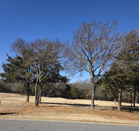 Tbd-lot 10 Reflection Bay Gordonville TX 76245