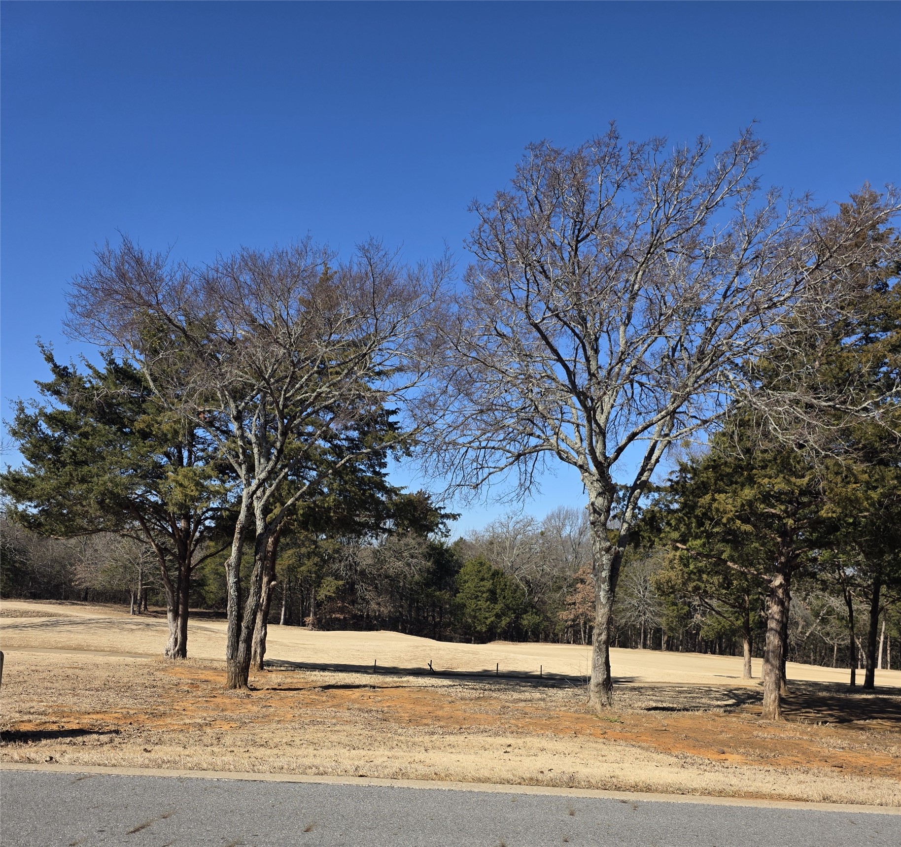 Tbd-lot 10 Reflection Bay Gordonville TX 76245