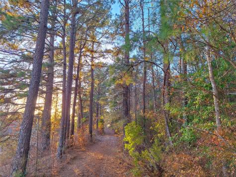 TBD County Road 2920 Hughes Springs TX 75656