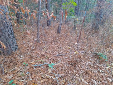 Tbd County Road 2920 Hughes Springs TX 75656