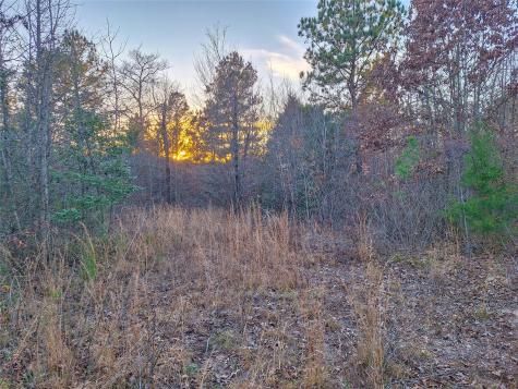 Tbd County Road 2920 Hughes Springs TX 75656