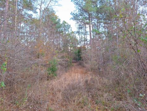 Tbd County Road 2920 Hughes Springs TX 75656