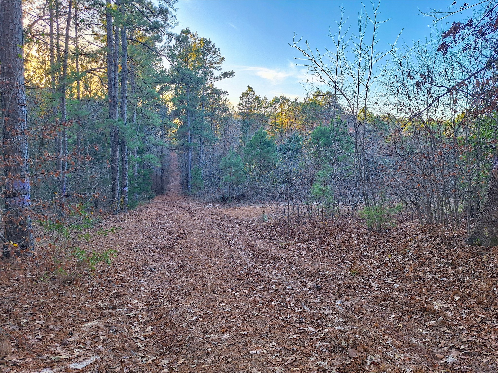 Tbd County Road 2920 Hughes Springs TX 75656