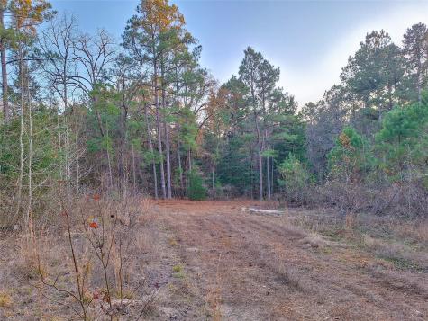 Tbd County Road 2920 Hughes Springs TX 75656