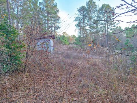 Tbd County Road 2920 Hughes Springs TX 75656