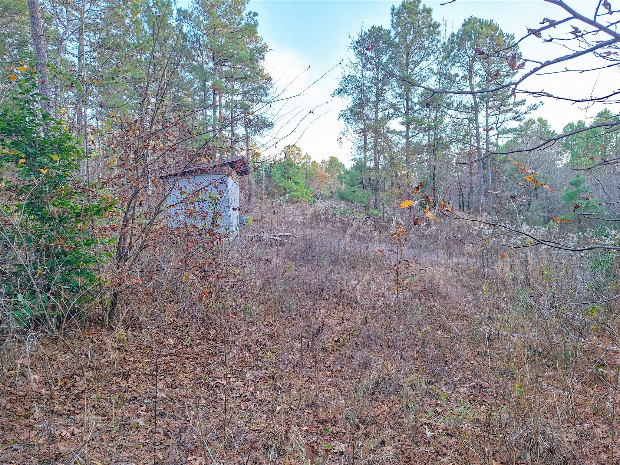 Tbd County Road 2920 Hughes Springs TX 75656