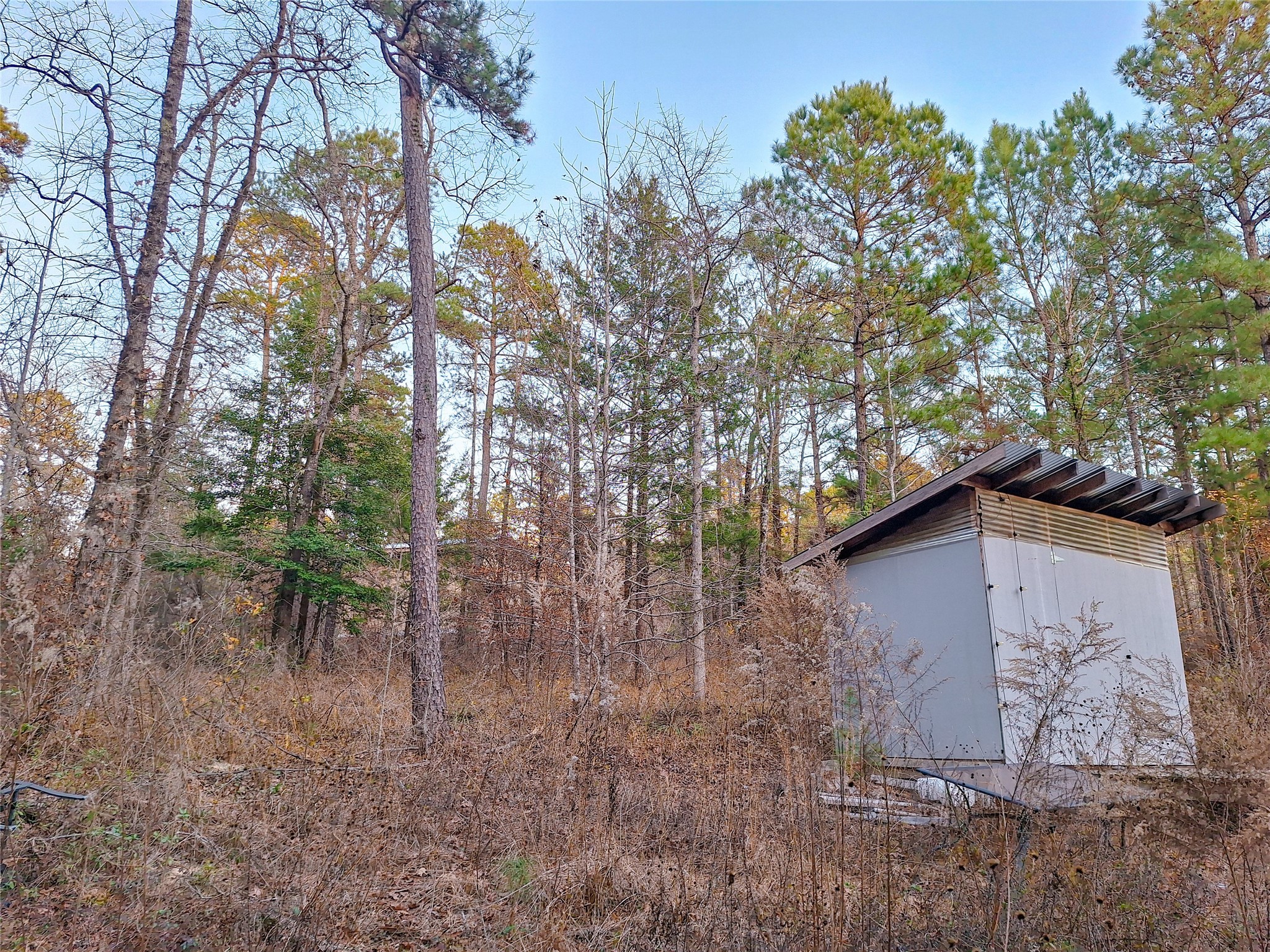 Tbd County Road 2920 Hughes Springs TX 75656