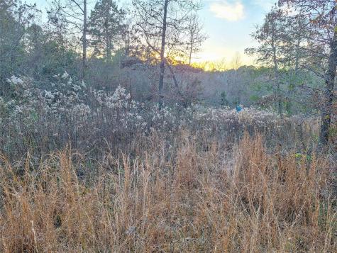 Tbd County Road 2920 Hughes Springs TX 75656