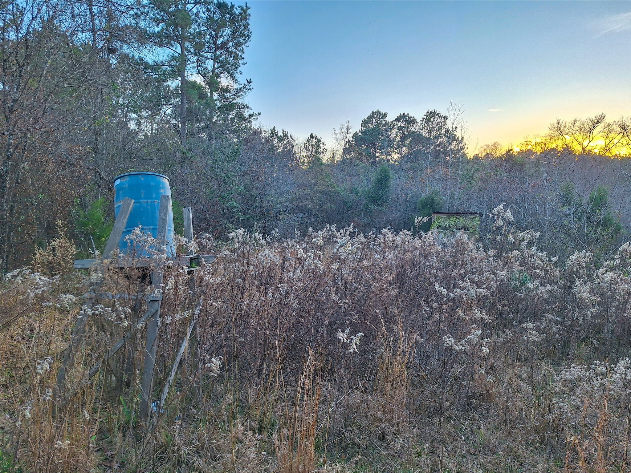 Tbd County Road 2920 Hughes Springs TX 75656
