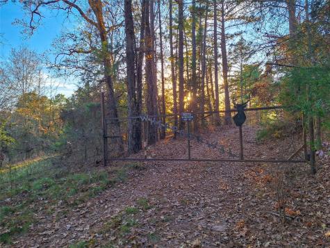 Tbd County Road 2920 Hughes Springs TX 75656