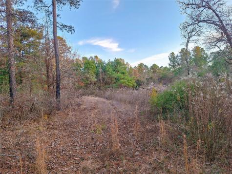 Tbd County Road 2920 Hughes Springs TX 75656