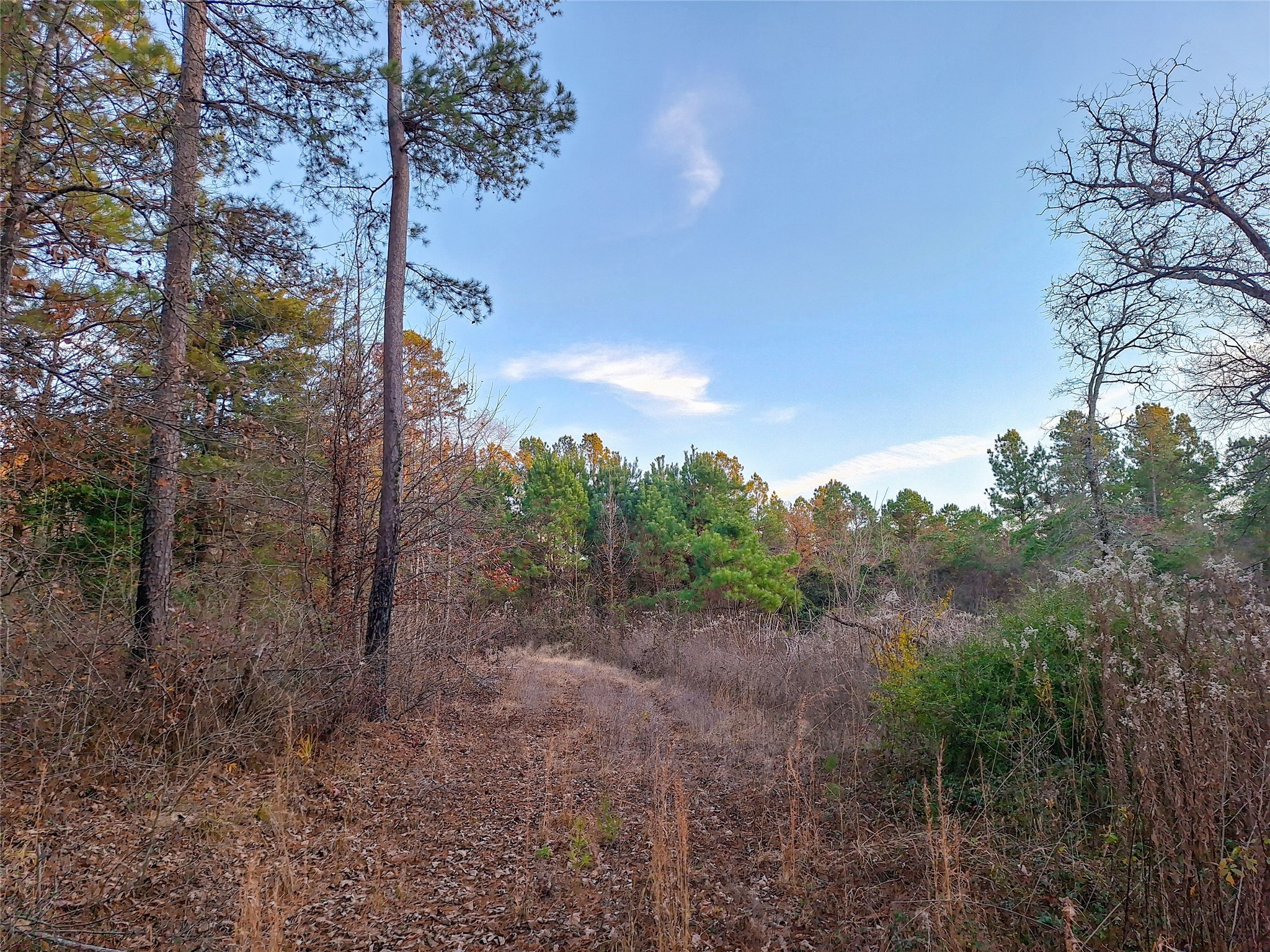 Tbd County Road 2920 Hughes Springs TX 75656