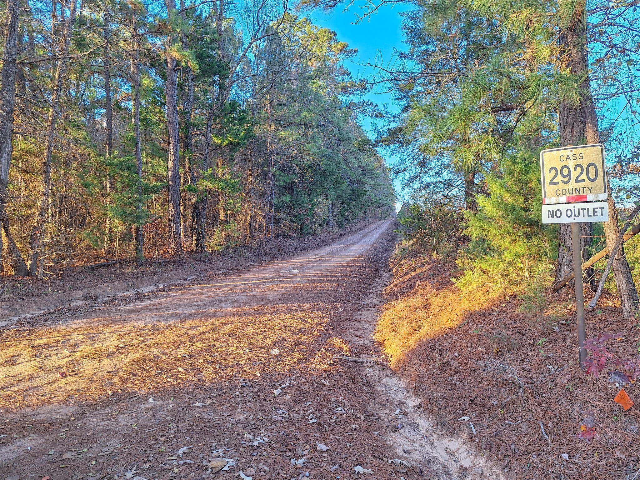 Tbd County Road 2920 Hughes Springs TX 75656