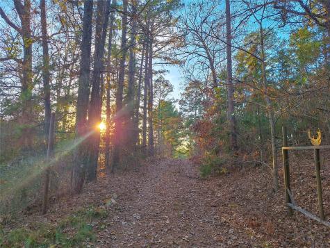 Tbd County Road 2920 Hughes Springs TX 75656