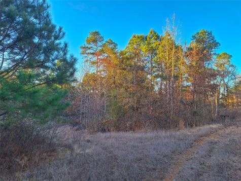 Tbd County Road 2920 Hughes Springs TX 75656