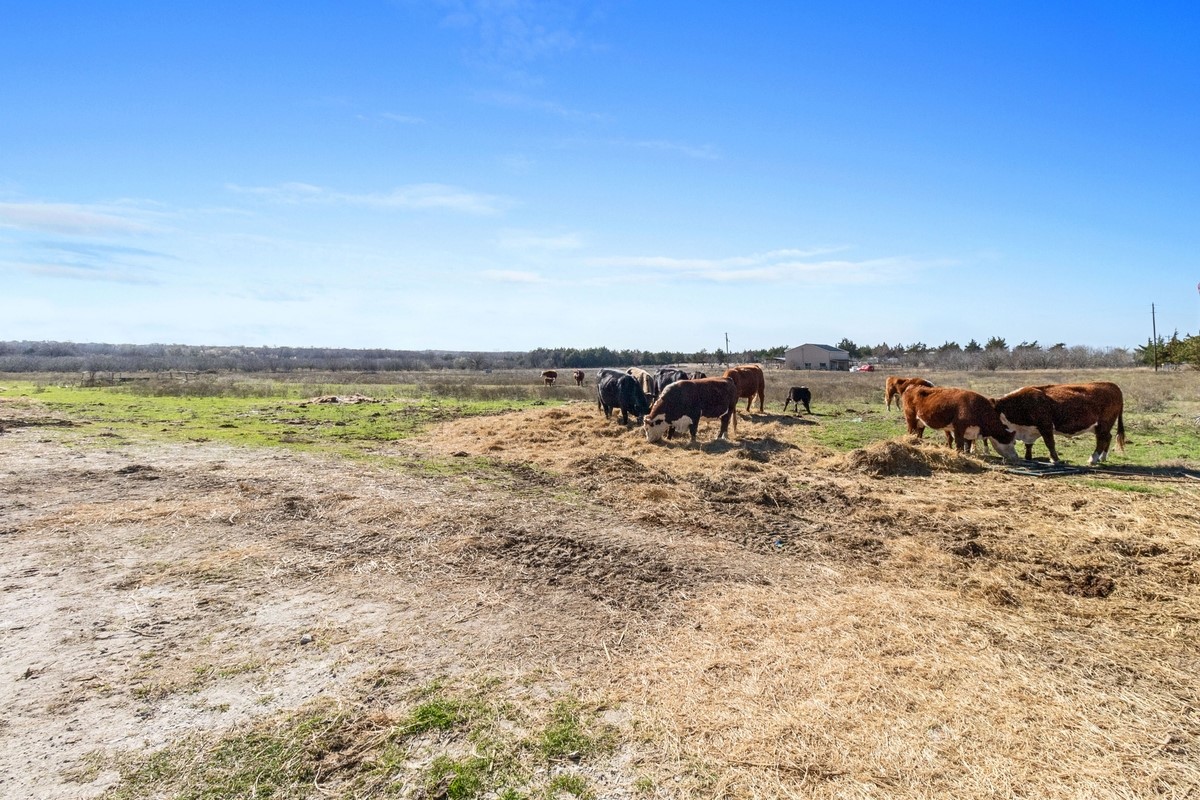 Tbd Fm 709 Dawson TX 76639