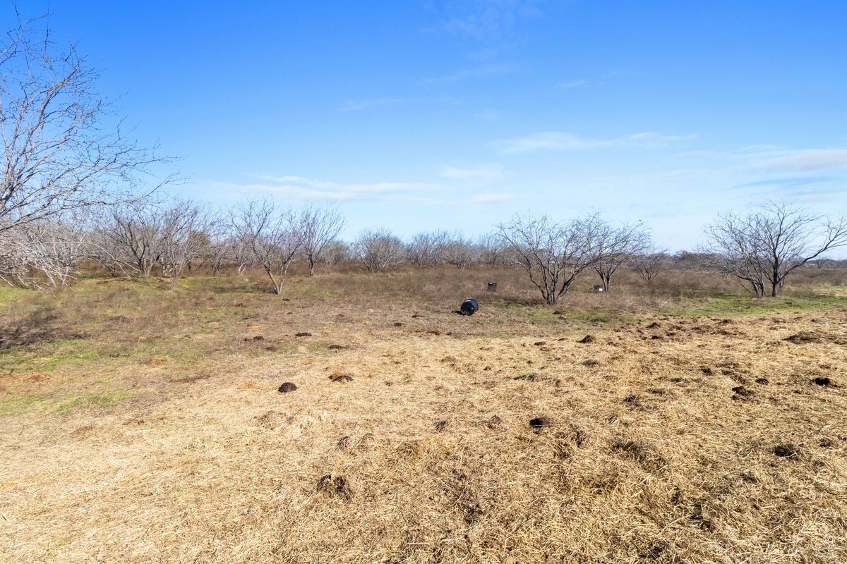 Tbd Fm 709 Dawson TX 76639