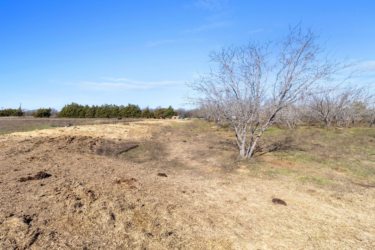 Tbd Fm 709 Dawson TX 76639