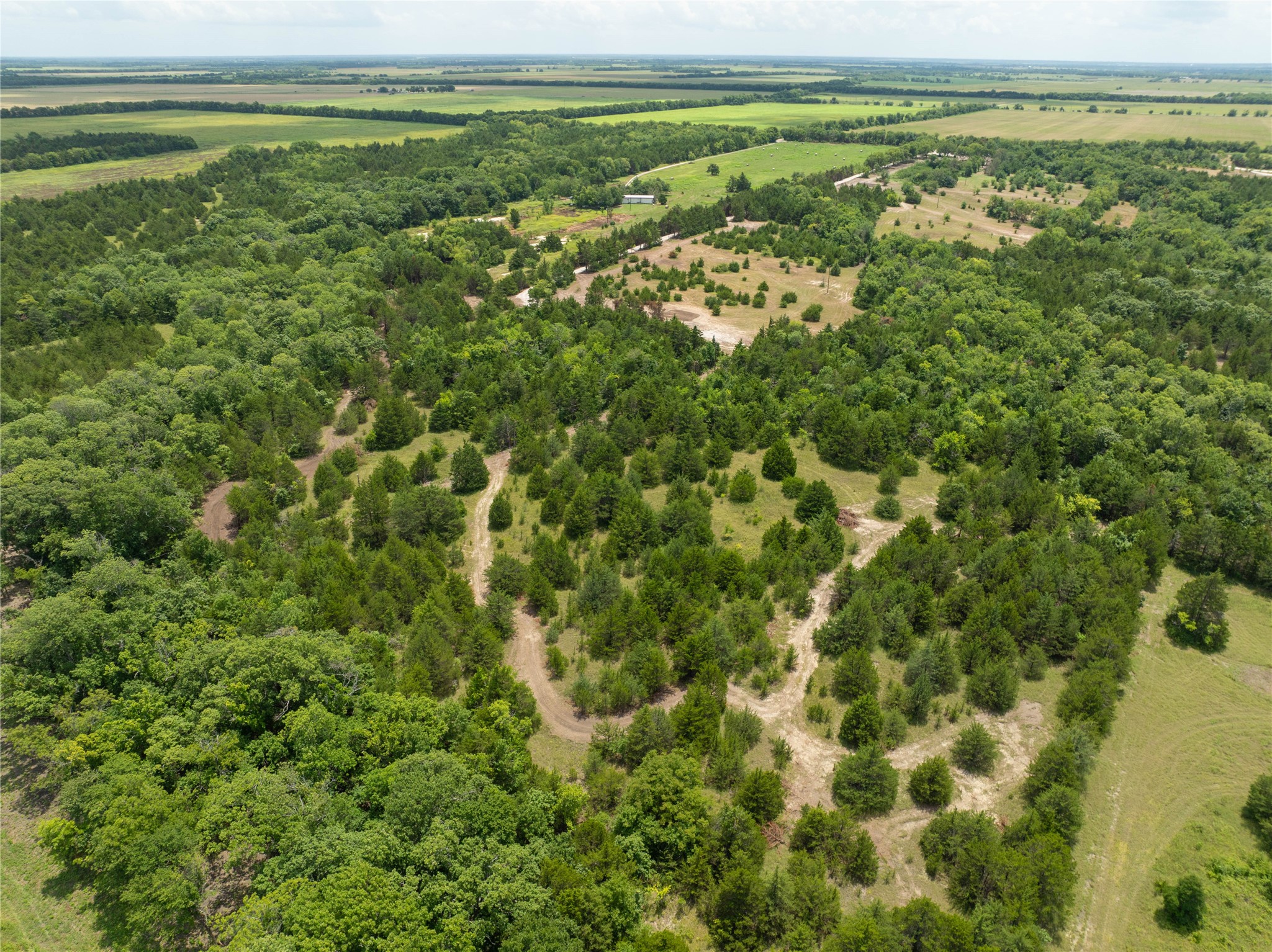 Tbd Tract 8 Cr 2997 Honey Grove TX 75446