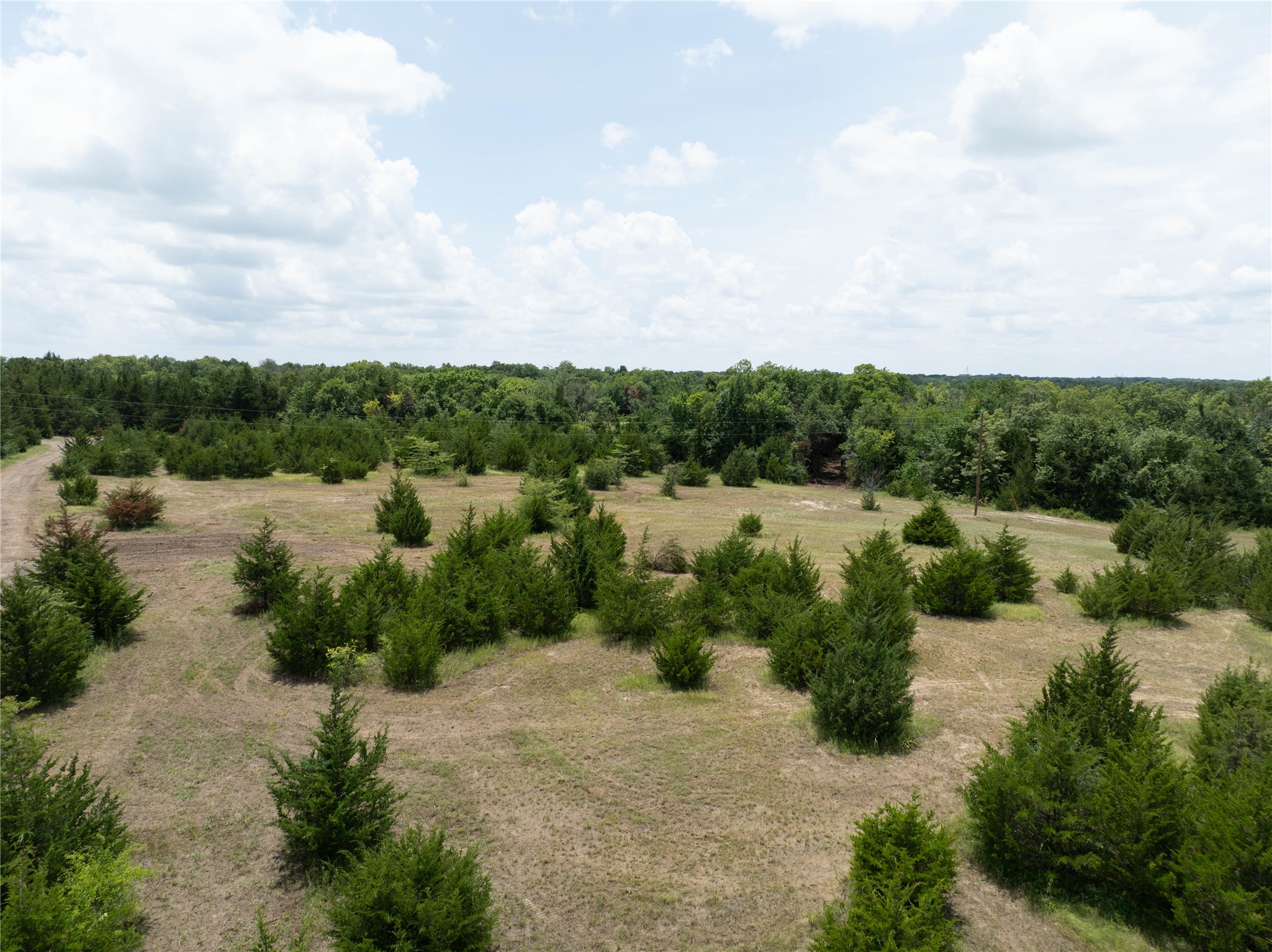 Tbd Tract 8 Cr 2997 Honey Grove TX 75446