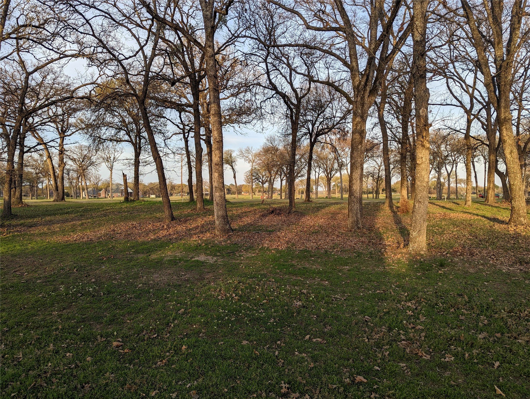 0 Briarwood Drive Kemp TX 75143