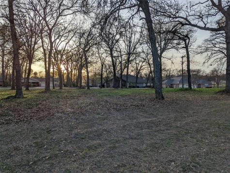 0 Briarwood Drive Kemp TX 75143