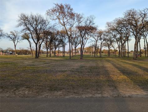 0 Briarwood Drive Kemp TX 75143