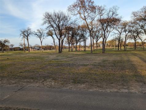 0 Briarwood Drive Kemp TX 75143