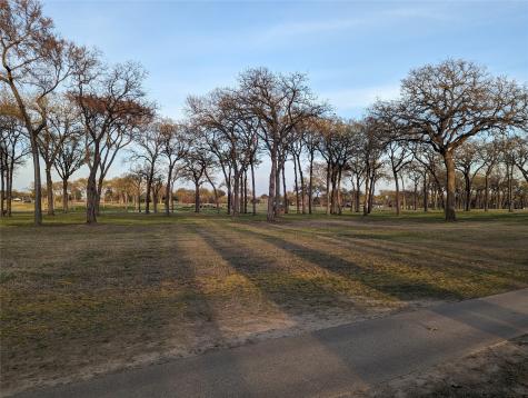 0 Briarwood Drive Kemp TX 75143