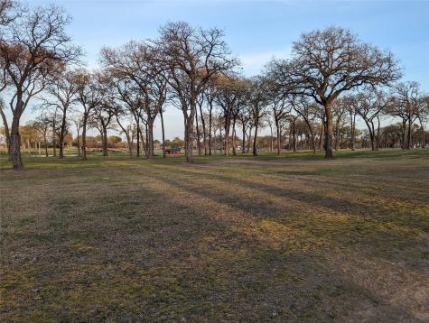 0 Briarwood Drive Kemp TX 75143