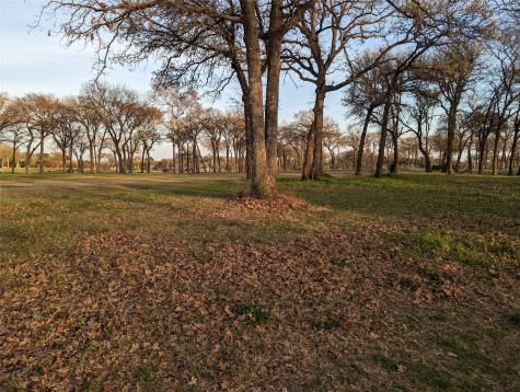 0 Briarwood Drive Kemp TX 75143