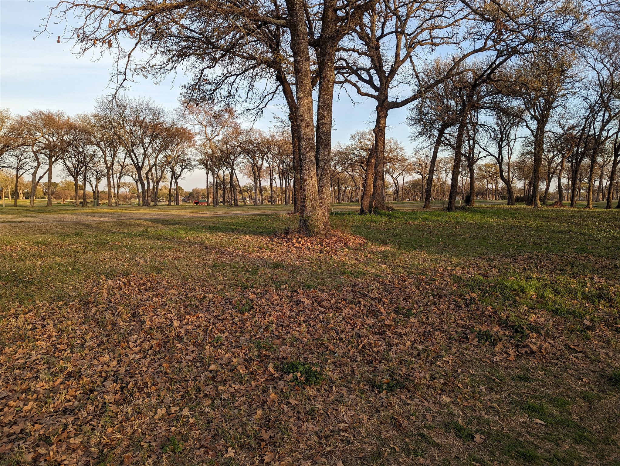 0 Briarwood Drive Kemp TX 75143