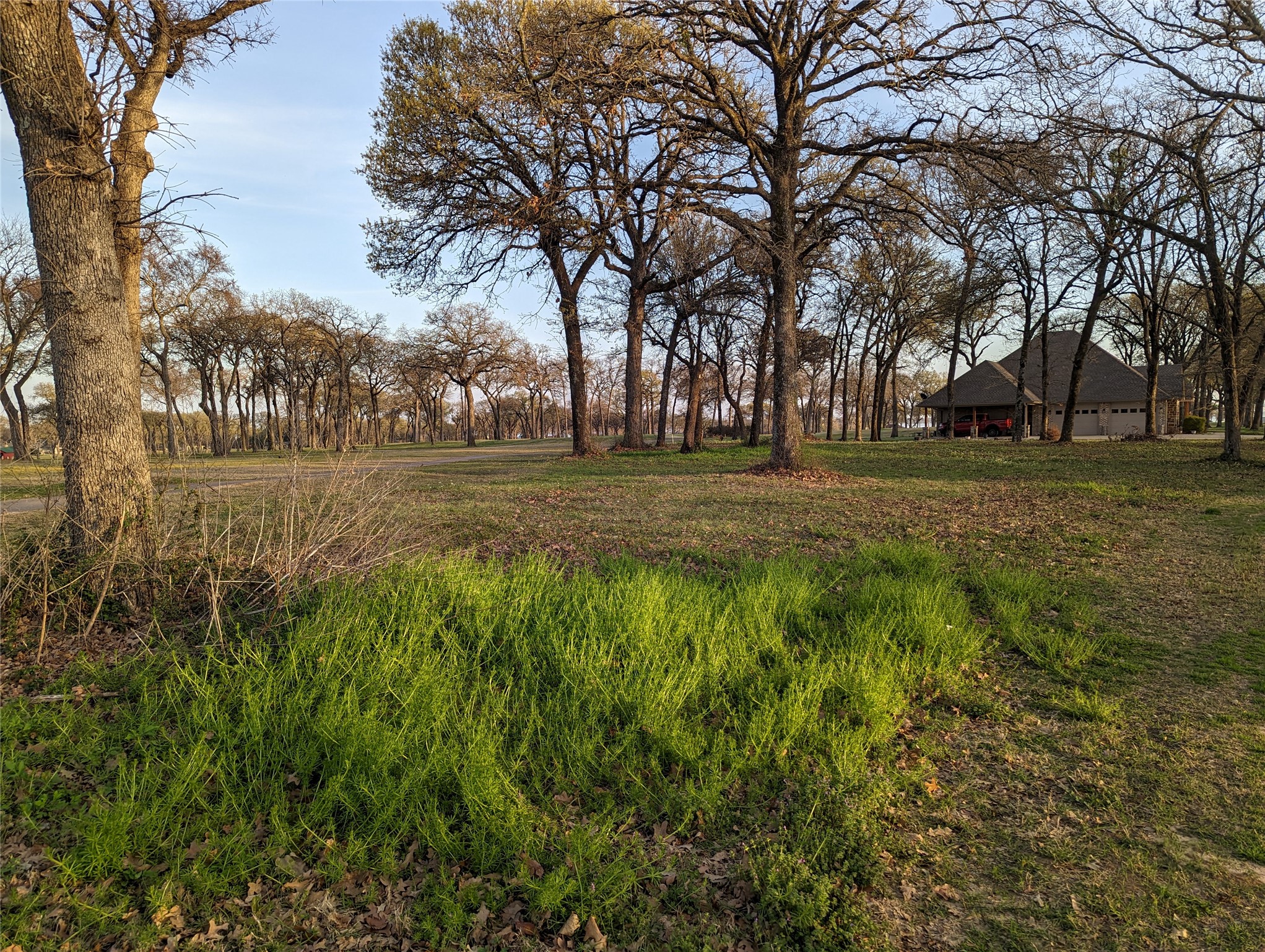 0 Briarwood Drive Kemp TX 75143