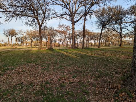 0 Briarwood Drive Kemp TX 75143