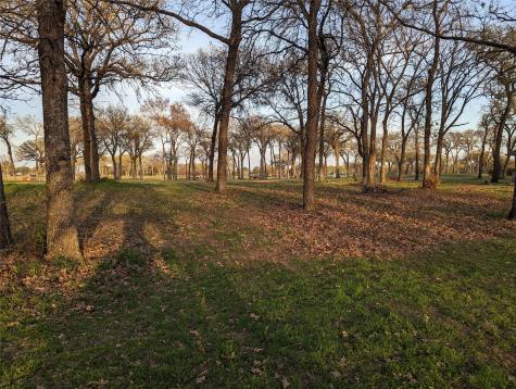 0 Briarwood Drive Kemp TX 75143