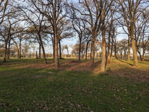 0 Briarwood Drive Kemp TX 75143