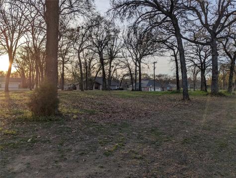 0 Briarwood Drive Kemp TX 75143