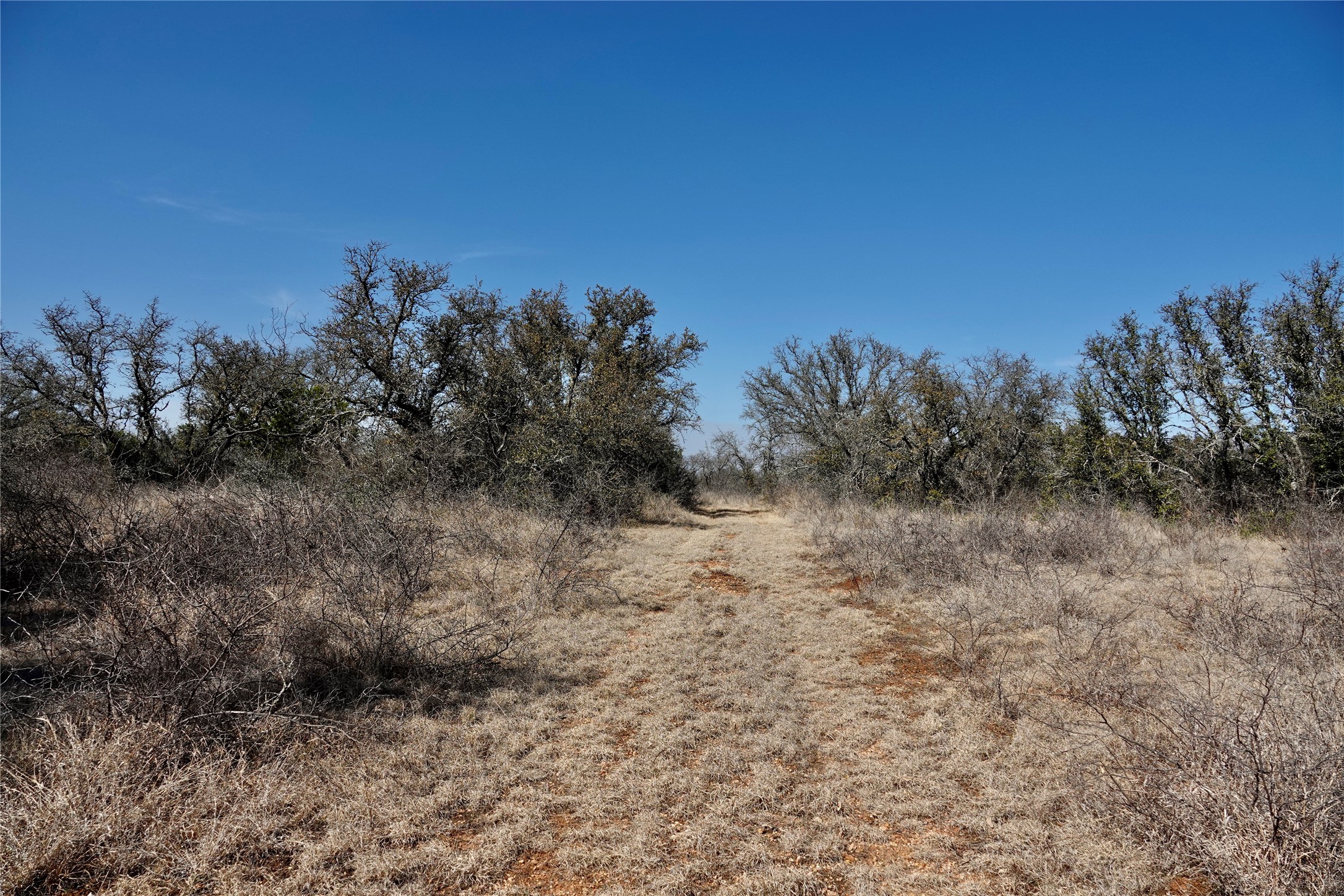 219 Cr 550 Mullin TX 76864