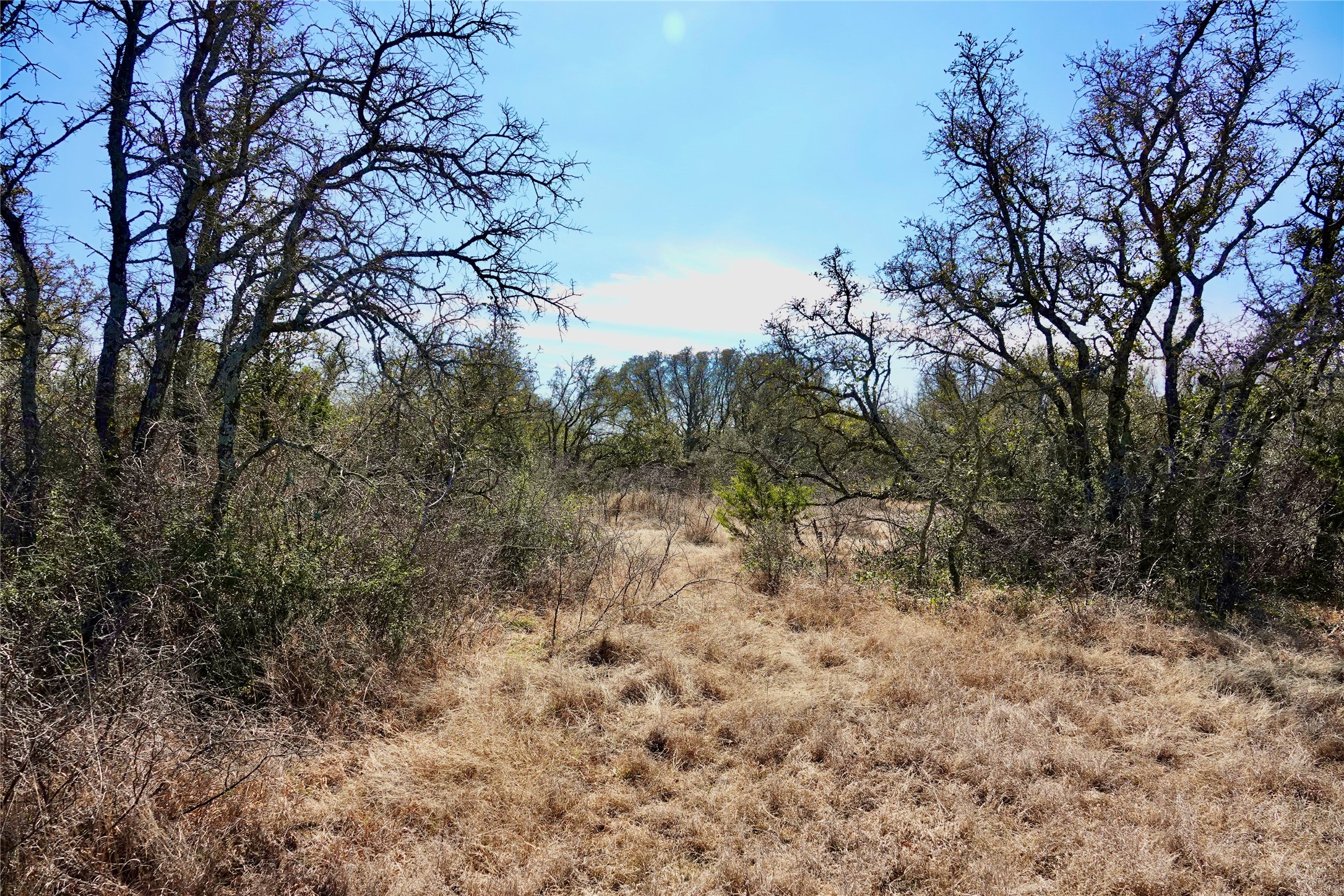 219 Cr 550 Mullin TX 76864