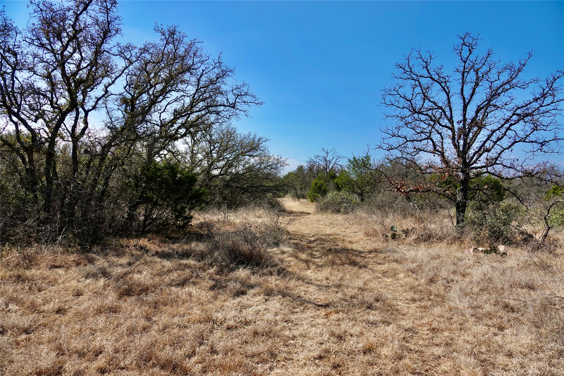 219 Cr 550 Mullin TX 76864