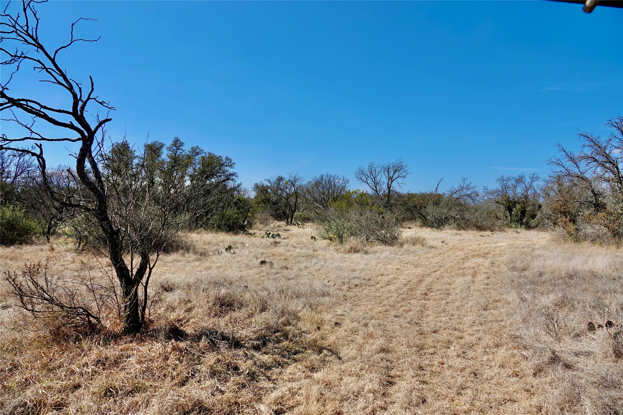 219 Cr 550 Mullin TX 76864