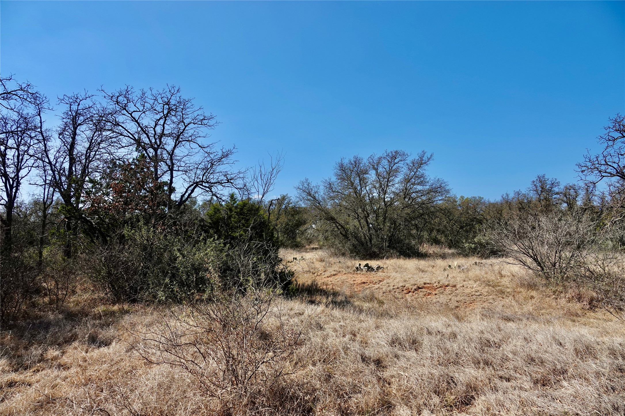 219 Cr 550 Mullin TX 76864