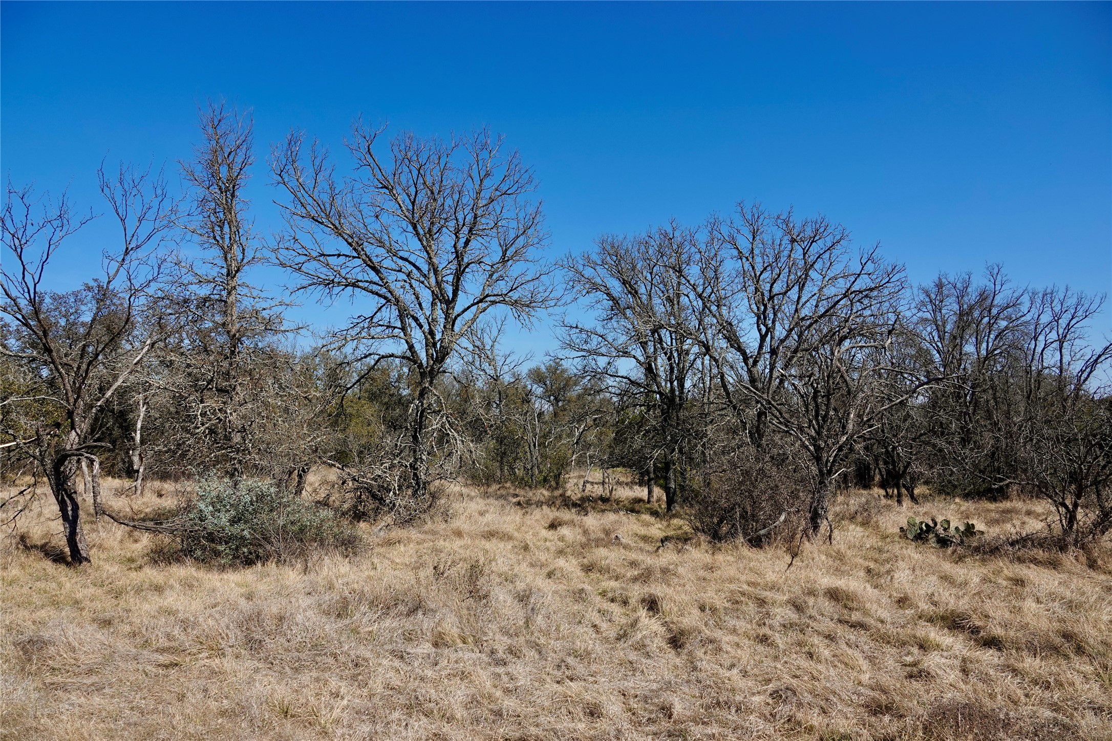 219 Cr 550 Mullin TX 76864