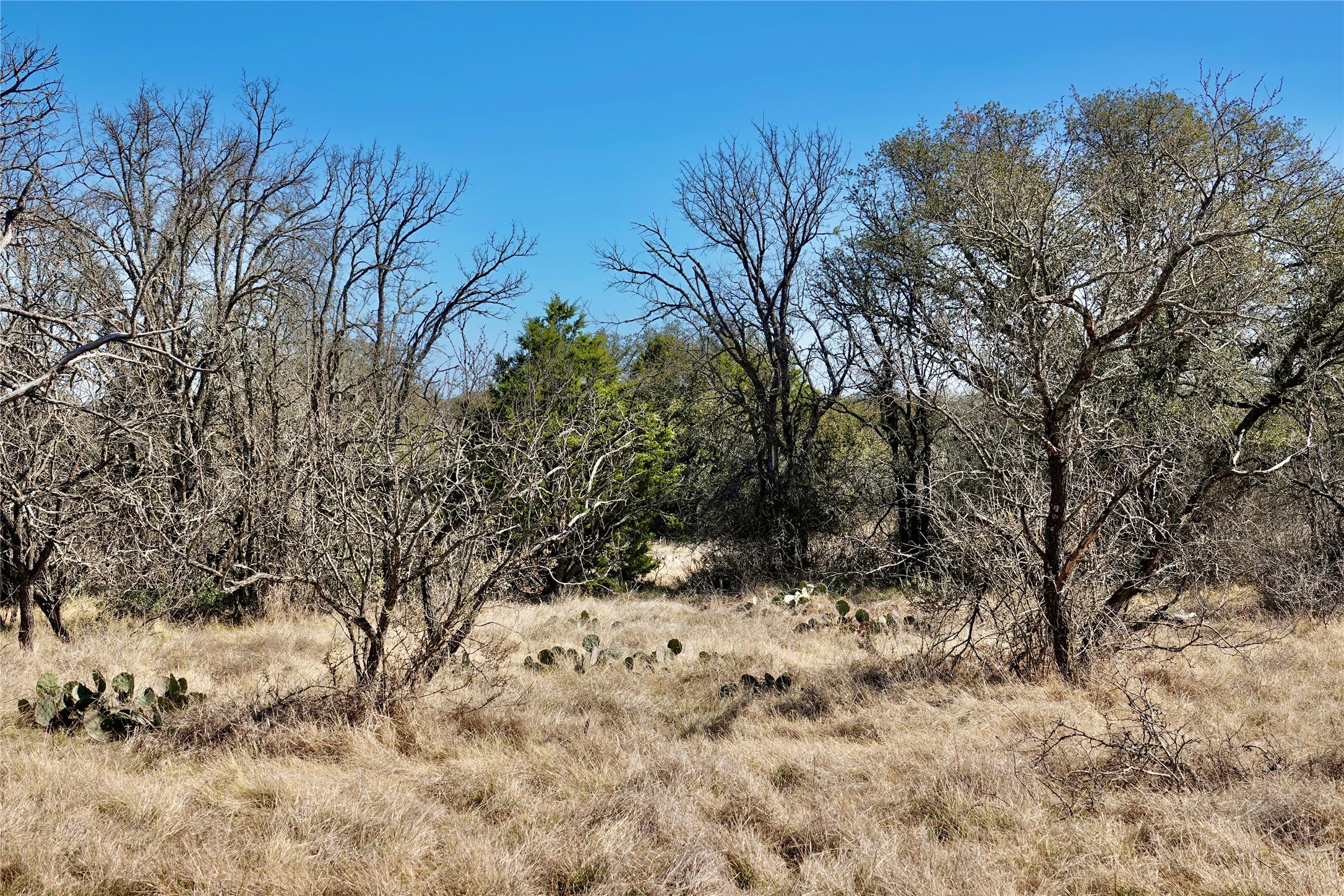 219 Cr 550 Mullin TX 76864
