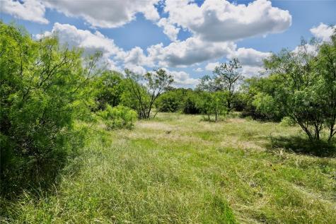 219 Cr 550 Mullin TX 76864