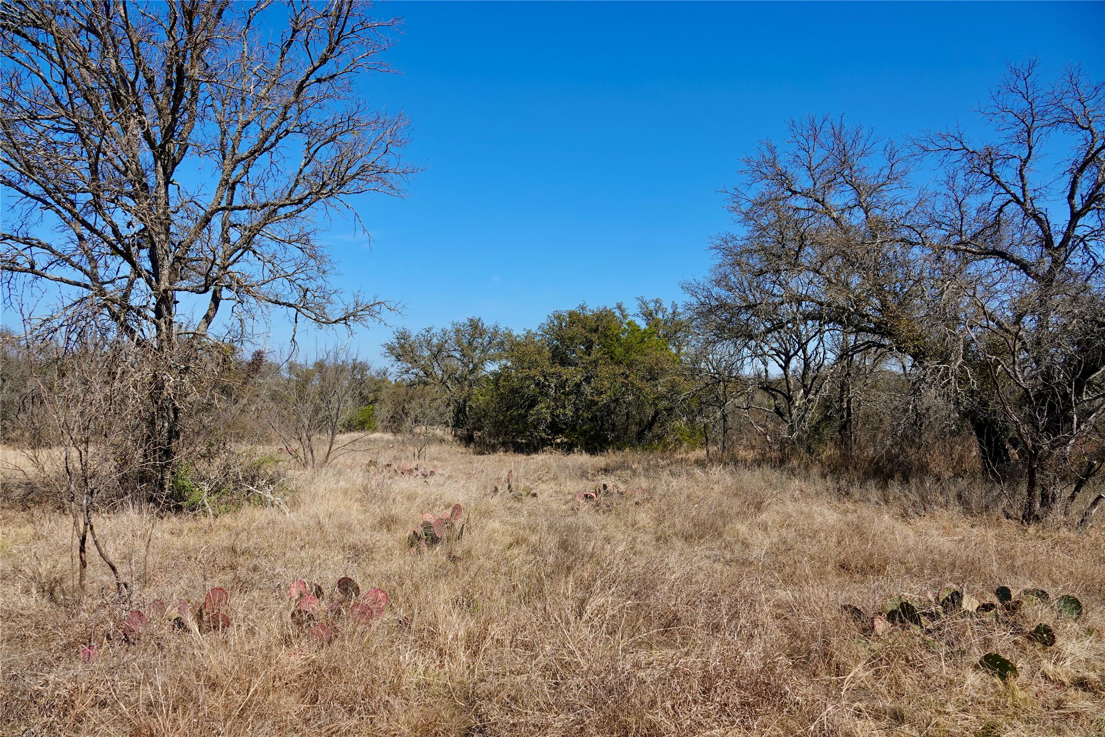 219 Cr 550 Mullin TX 76864