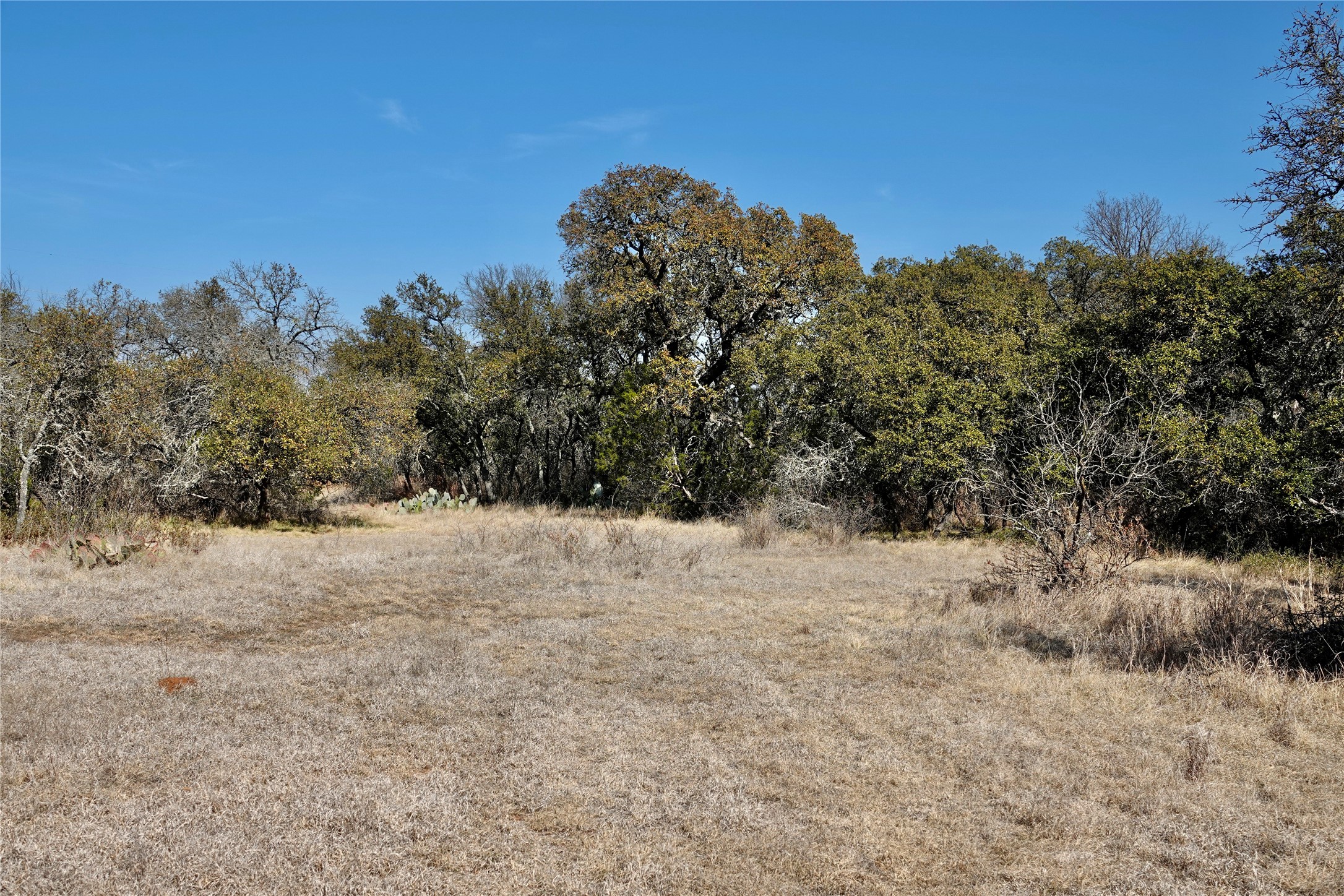 219 Cr 550 Mullin TX 76864