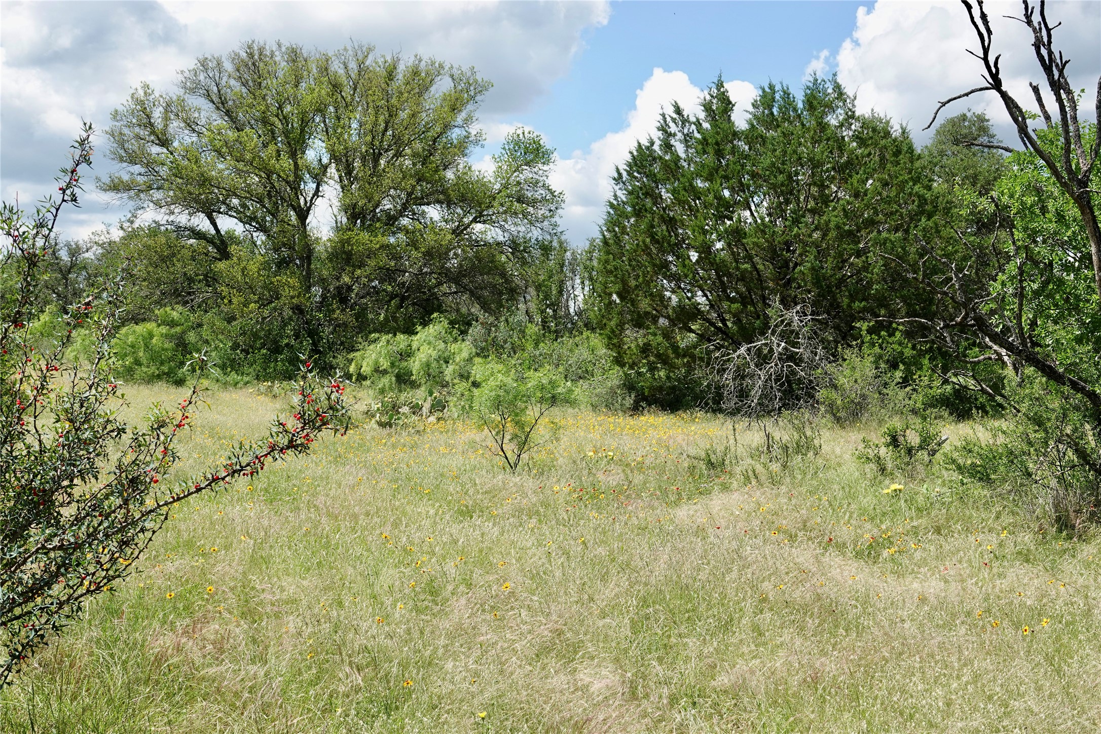 219 Cr 550 Mullin TX 76864