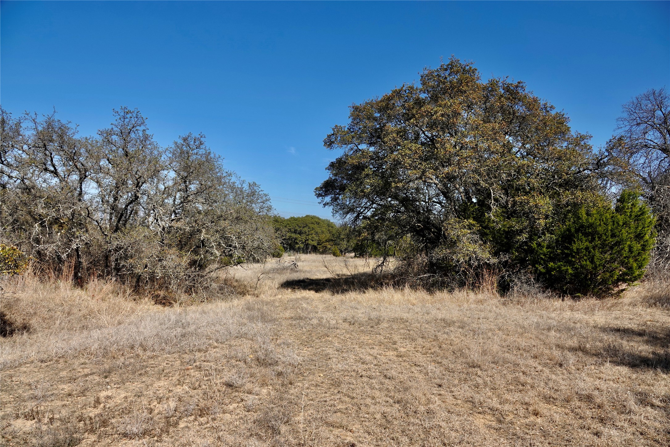 219 Cr 550 Mullin TX 76864